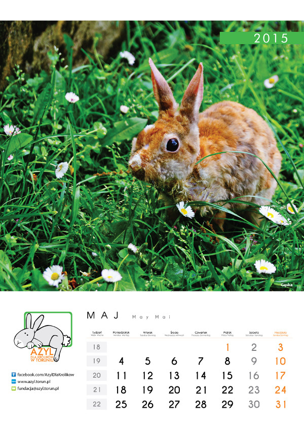 kalendarz maj